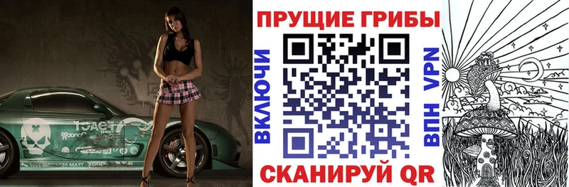Псилоцибиновые грибы мицелий  Спасск-Дальний 